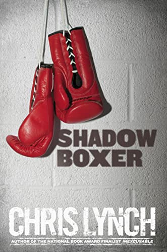 Cover of Shadow boxer