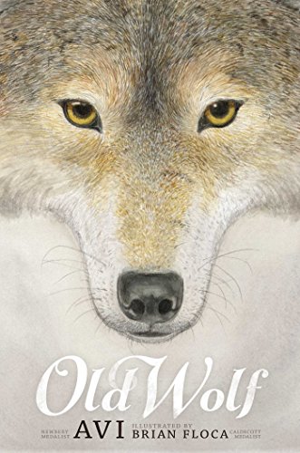 Old Wolf book cover