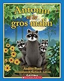 Image de couverture Amazon