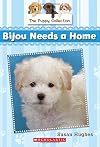 Bijou Needs a Home