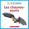 Bat Facts (Animal Phonics Readers)