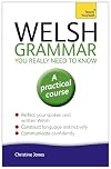 Welsh Grammar You Really Need to Know (Teach Yourself)