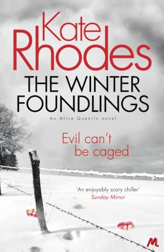 The Winter Foundlings book cover
