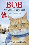 Bob No Ordinary Cat