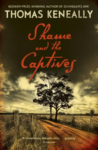 Shame and the Captives book cover