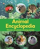 Amazon cover image