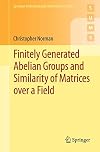Finitely Generated Abelian Groups and Similarity of Matrices over a Field (Springer Undergraduate Mathematics Series)