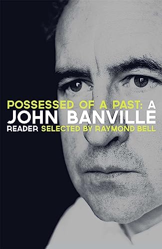 Possessed of a Past: A John Banville Reader book cover