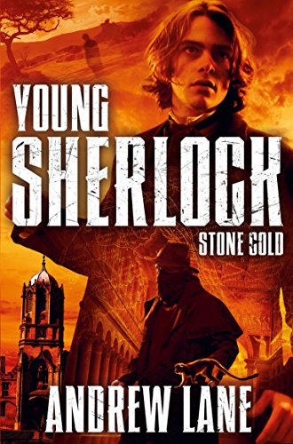 Stone Cold book cover