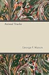 Animal Tracks