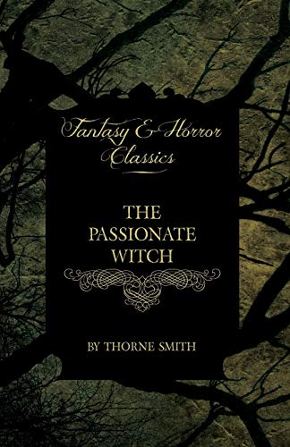 The Passionate Witch book cover
