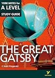 The Great Gatsby York Notes For Alevel