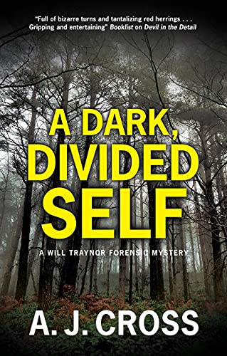 A Dark, Divided Self / The Darkest Detail book cover