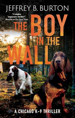 The Boy in the Wall book cover