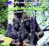 Gorillas/Gorilas: Life in the Troop/Vida En La Manada (Animal Families/Familias de Animales)