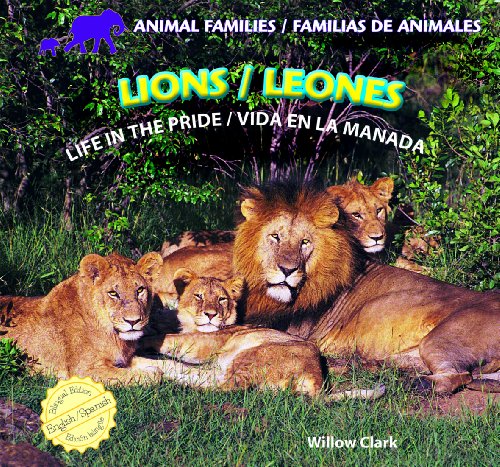 Cover of Lions