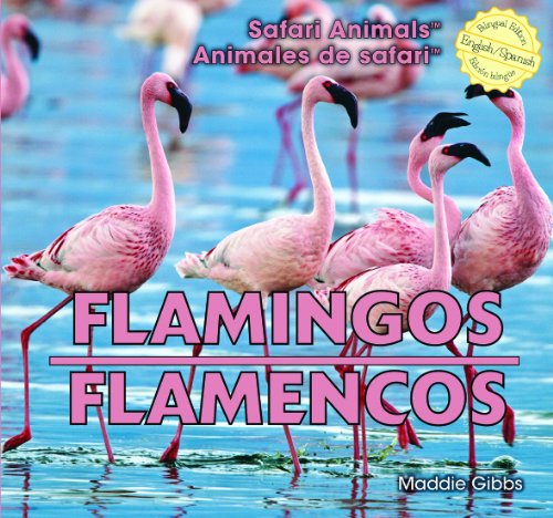 Cover of Flamingos =