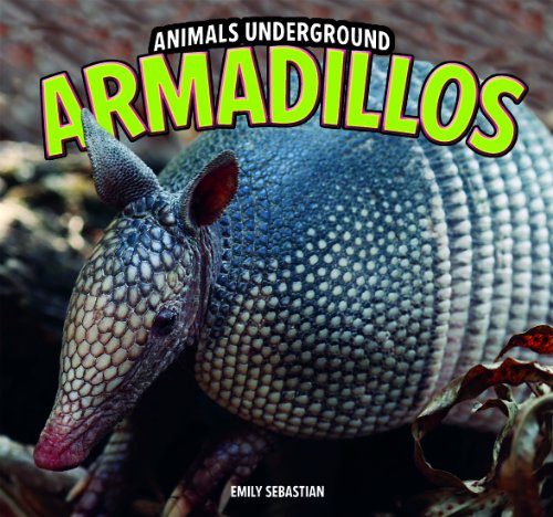 Cover of Armadillos