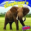 An Elephant's Life (Living Large)