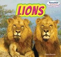 Cover of Lions