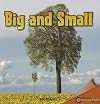 Big and Small (Infomax)