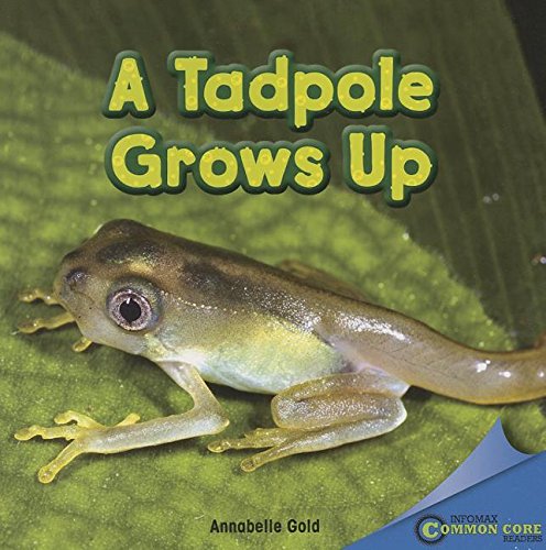 Cover of Tadpole Grows Up