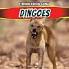 Dingoes (Ferocious Fighting Animals)