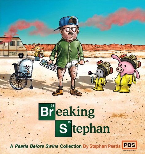 Breaking Stephan book cover