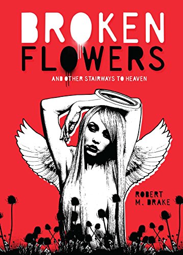 Broken Flowers book cover