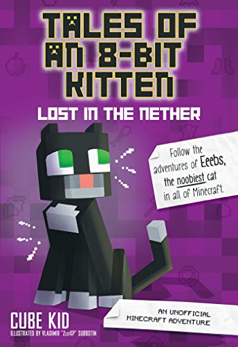 Lost in the Nether book cover