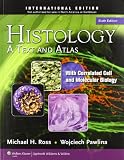 Histology A Text And Atlas With Correlated Cell And Molecular Biology