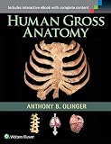Human Gross Anatomy