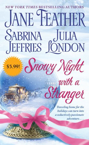 Snowy Night with a Stranger book cover