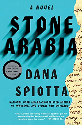Stone Arabia book cover