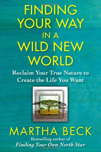 Finding Your Way in a Wild New World book cover