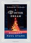 A Winter Dream