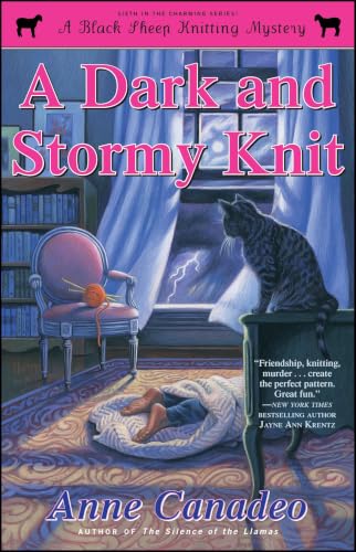 A Dark and Stormy Knit book cover