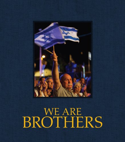 We Are Brothers book cover