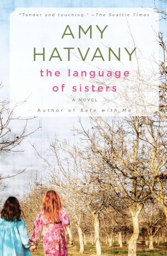 The Language of Sisters book cover