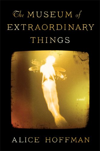 The Museum of Extraordinary Things book cover