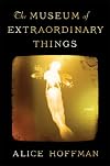 The Museum of Extraordinary Things
