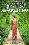 Summerset Abbey: Spring Awakening