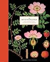 The Art of Instruction: Vintage Educational Charts from the 19th and 20th Centuries
