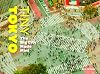 Tiny Tokyo: The Big City Made Mini