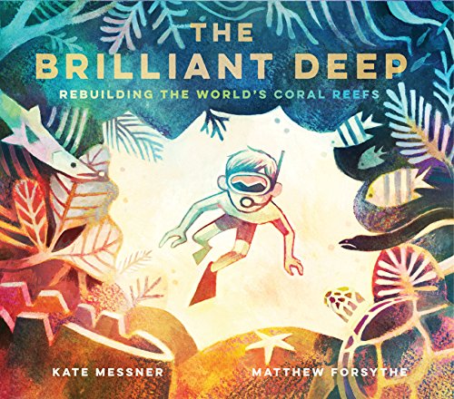 The Brilliant Deep book cover