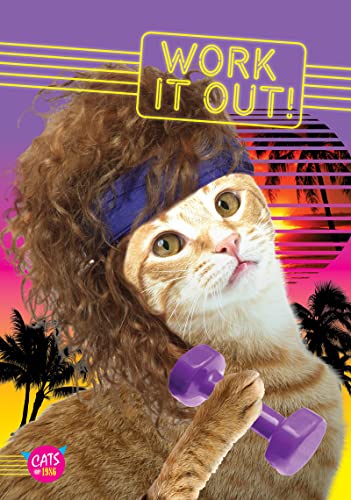 Cover of Work It Out!