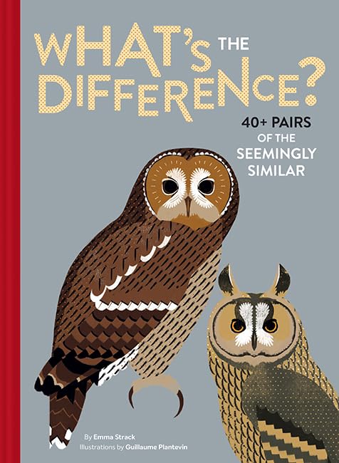 Cover of What's the difference?