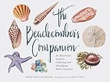 The Beachcombers Companion An Illustrated Guide To Collecting And Identifying Beach Treasures Watercolor Seashell And Shell Collecting Book Beach Lover Gift