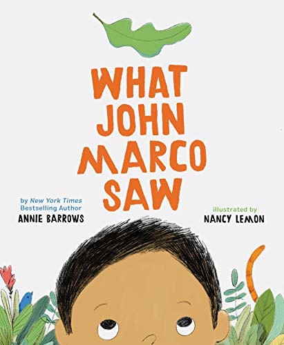 What John Marco Saw book cover