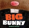 Big Bunny